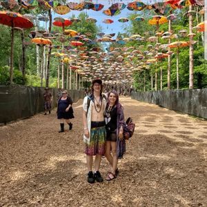 Meet your Posher, Gracie